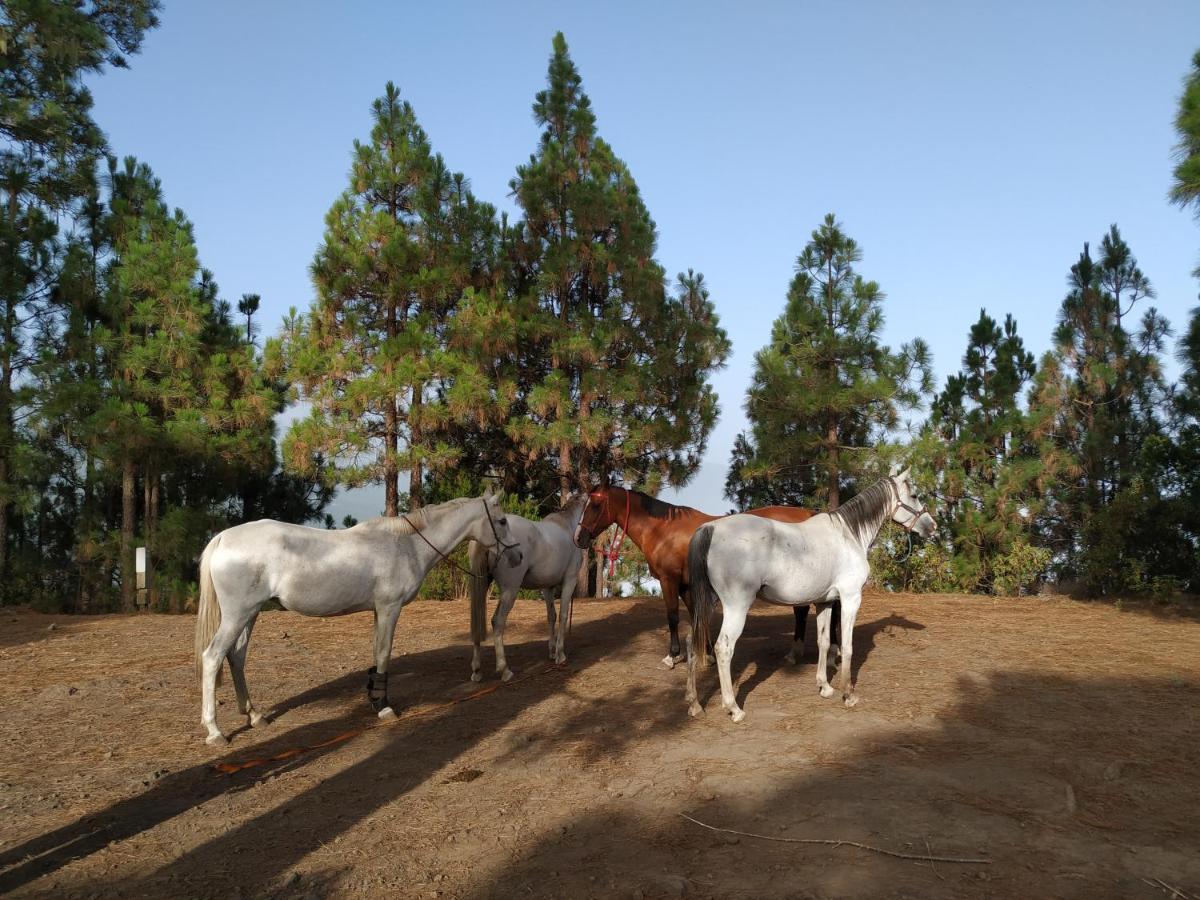 בית הארחה סנטה אורסולה 	Finca Rural House Tenerife Relax And Enjoy מראה חיצוני תמונה