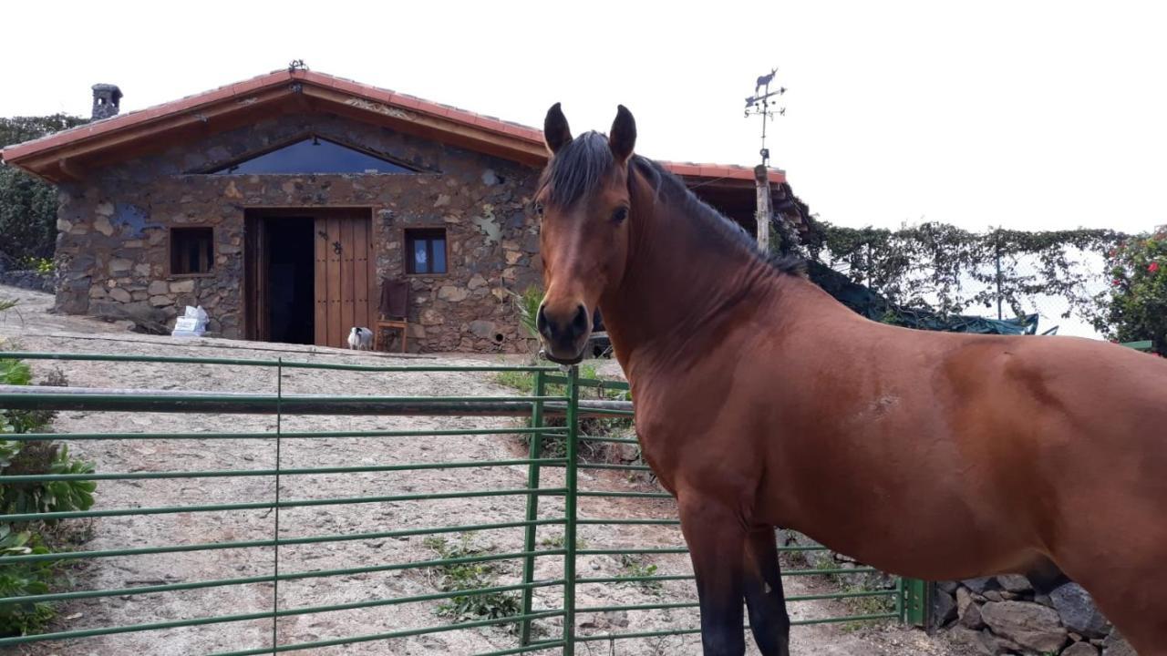 סנטה אורסולה Finca Rural House Tenerife Relax And Enjoy מראה חיצוני תמונה