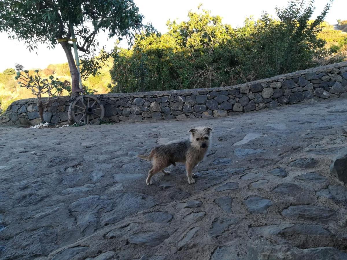 סנטה אורסולה Finca Rural House Tenerife Relax And Enjoy מראה חיצוני תמונה