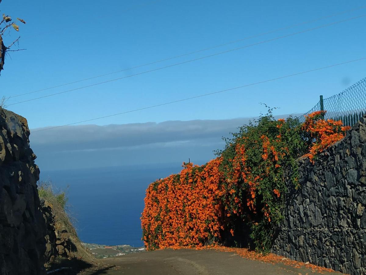 סנטה אורסולה Finca Rural House Tenerife Relax And Enjoy מראה חיצוני תמונה