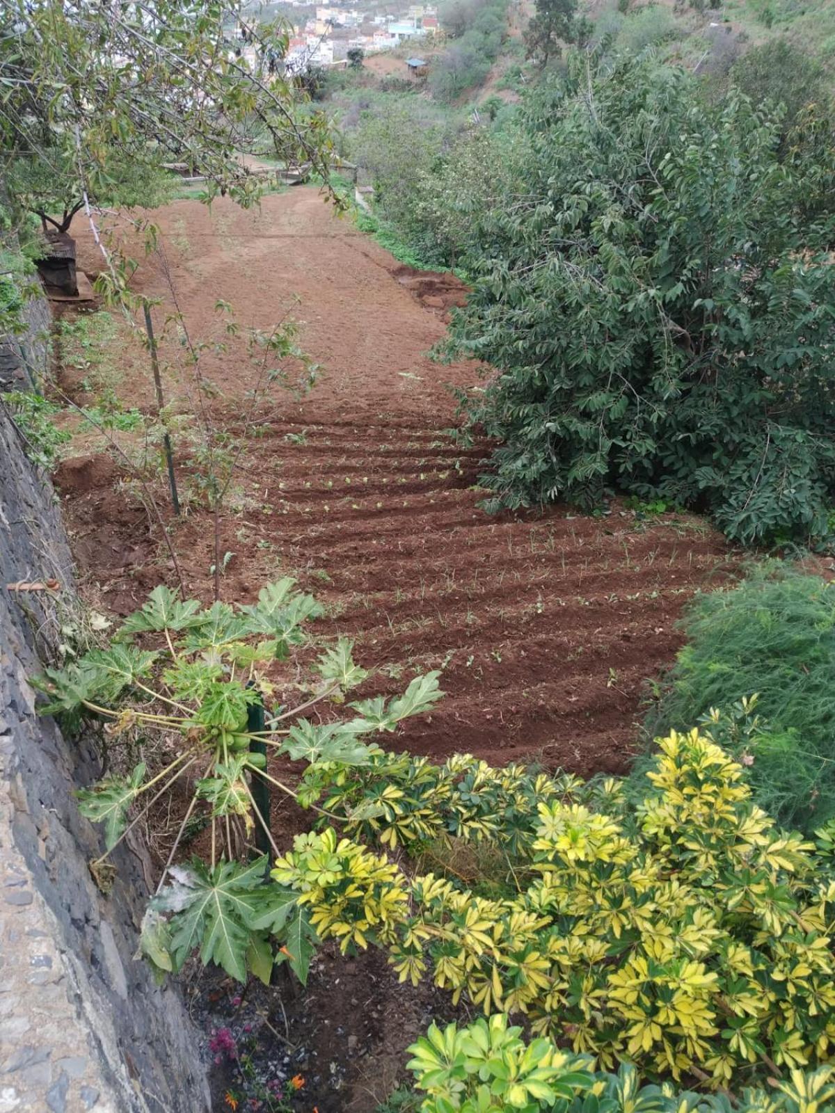 בית הארחה סנטה אורסולה 	Finca Rural House Tenerife Relax And Enjoy מראה חיצוני תמונה