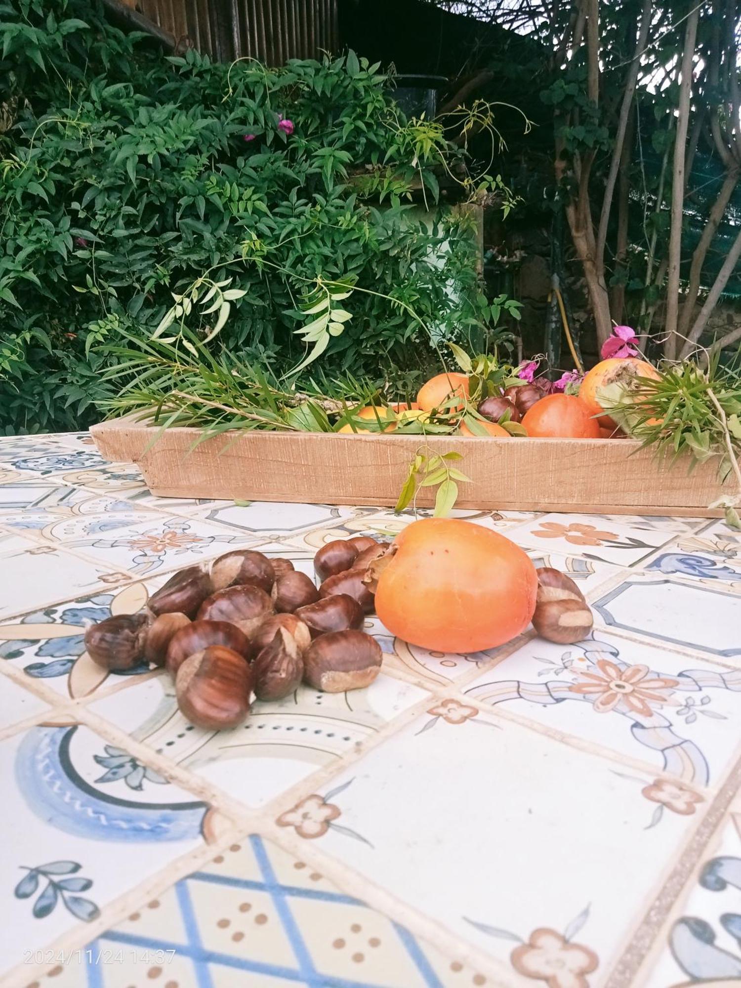 סנטה אורסולה Finca Rural House Tenerife Relax And Enjoy מראה חיצוני תמונה