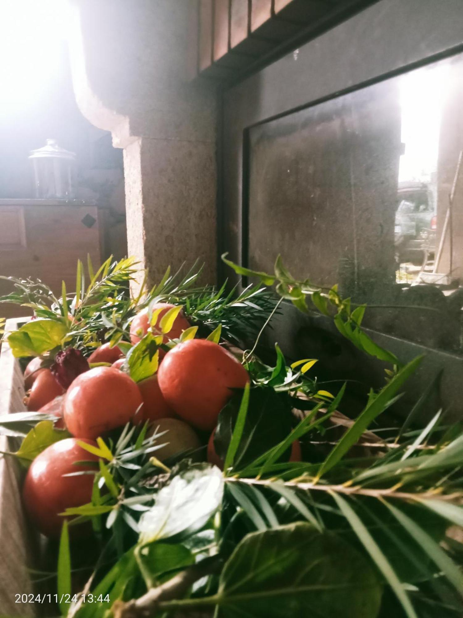 סנטה אורסולה Finca Rural House Tenerife Relax And Enjoy מראה חיצוני תמונה