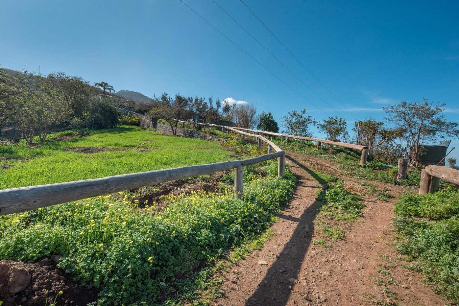 סנטה אורסולה Finca Rural House Tenerife Relax And Enjoy מראה חיצוני תמונה