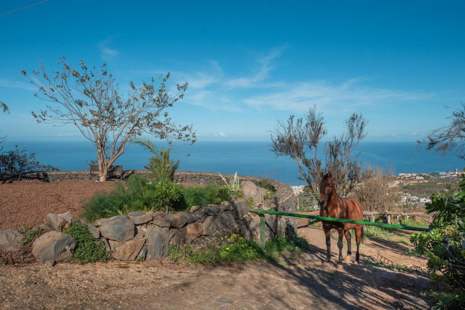 סנטה אורסולה Finca Rural House Tenerife Relax And Enjoy מראה חיצוני תמונה