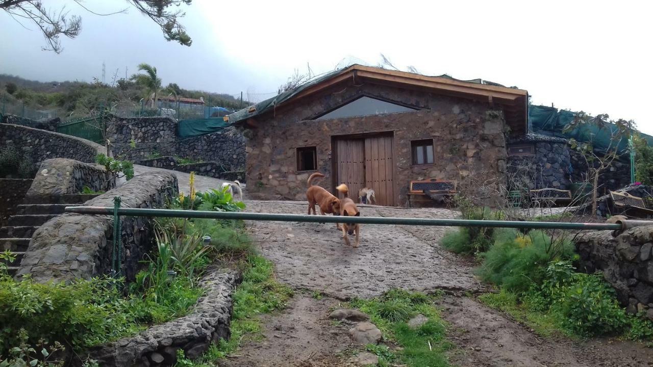סנטה אורסולה Finca Rural House Tenerife Relax And Enjoy מראה חיצוני תמונה