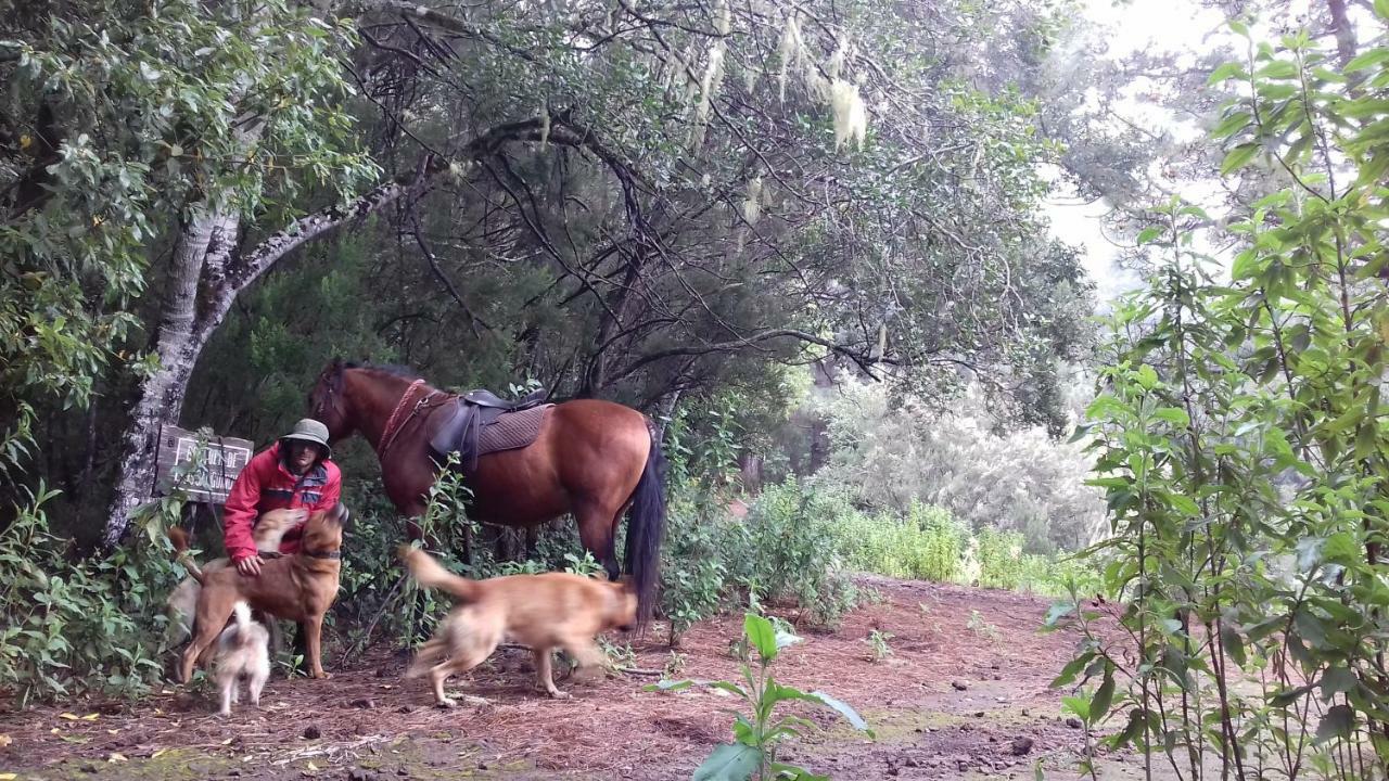 סנטה אורסולה Finca Rural House Tenerife Relax And Enjoy מראה חיצוני תמונה