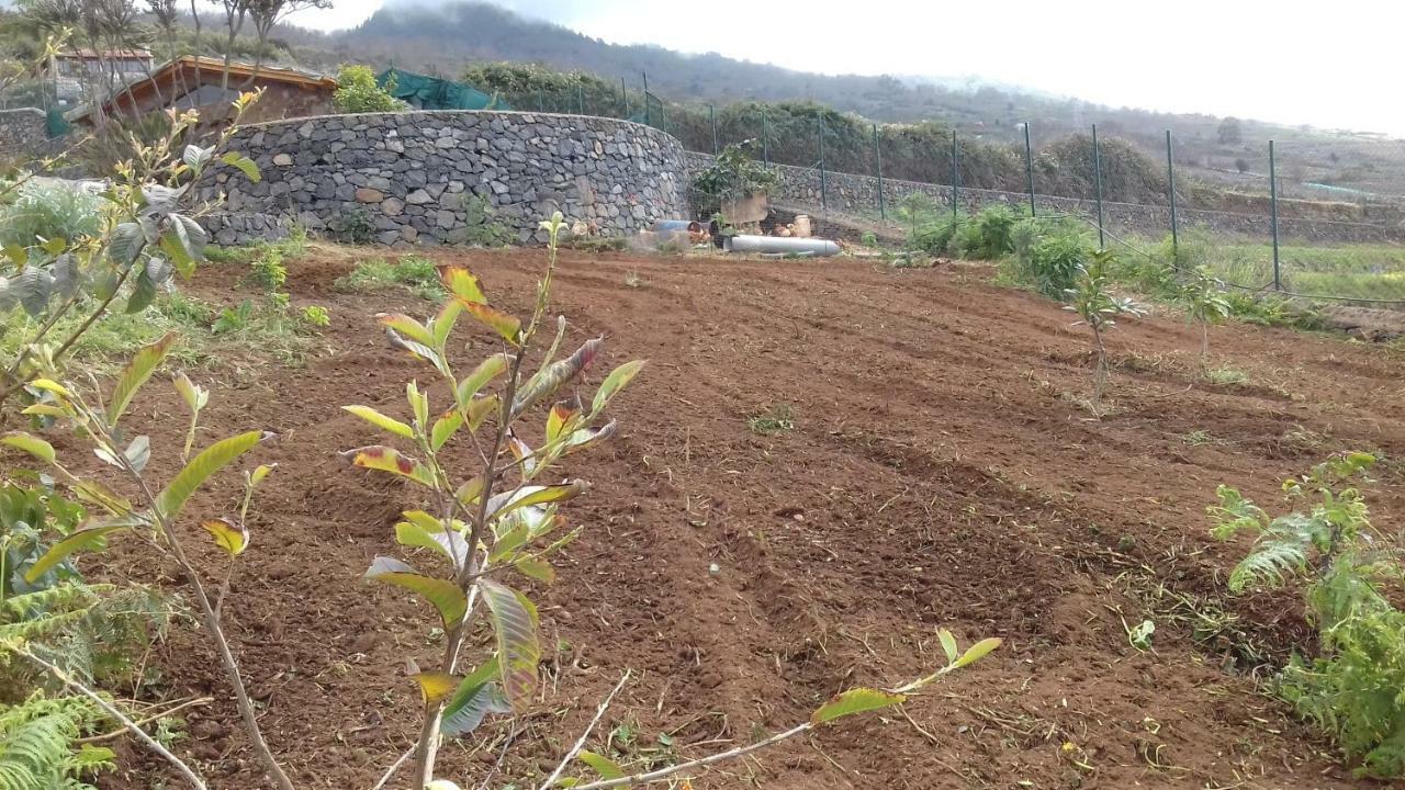 בית הארחה סנטה אורסולה 	Finca Rural House Tenerife Relax And Enjoy מראה חיצוני תמונה