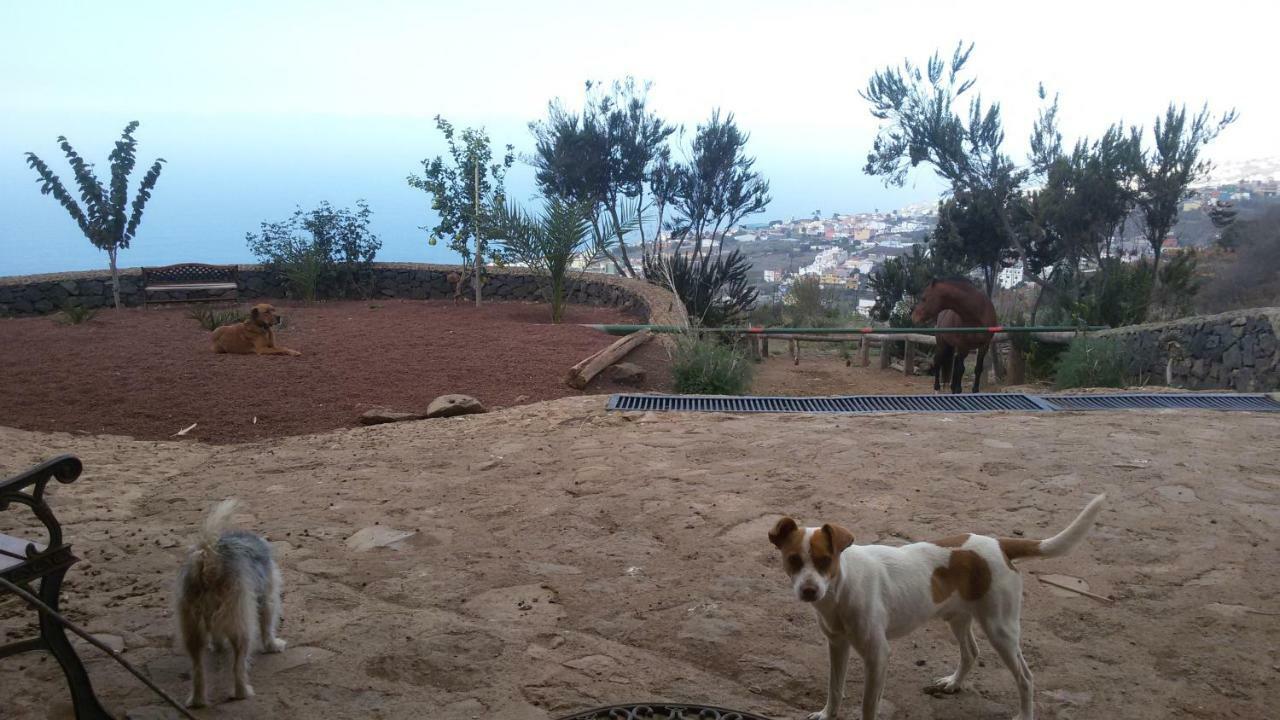 סנטה אורסולה Finca Rural House Tenerife Relax And Enjoy מראה חיצוני תמונה
