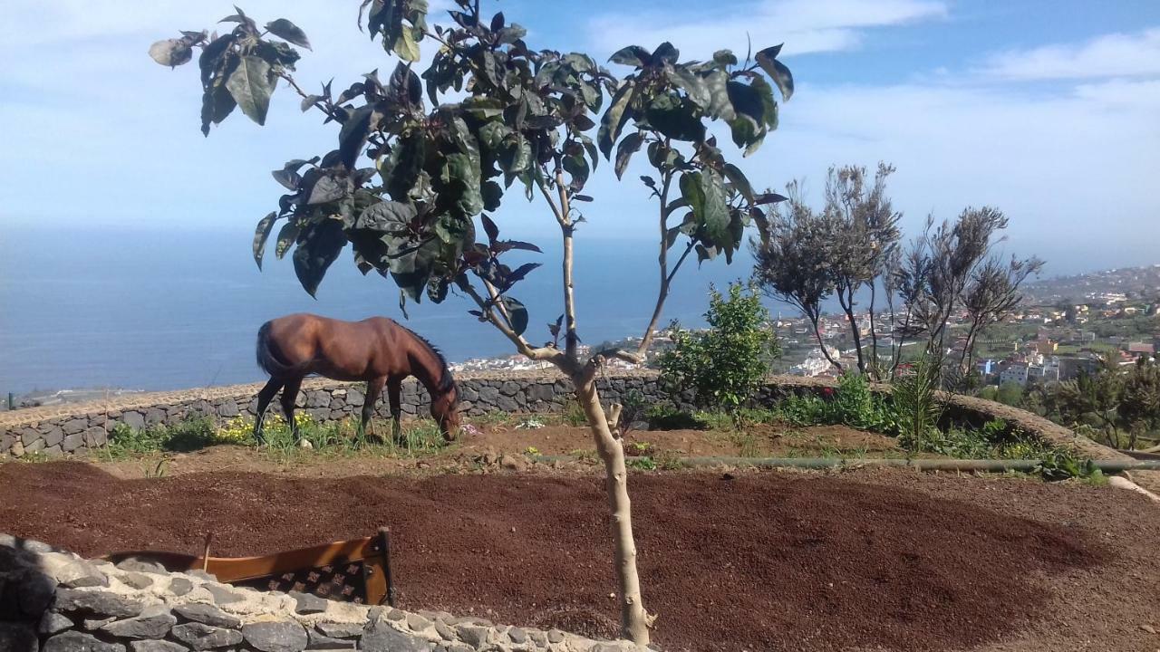 בית הארחה סנטה אורסולה 	Finca Rural House Tenerife Relax And Enjoy מראה חיצוני תמונה